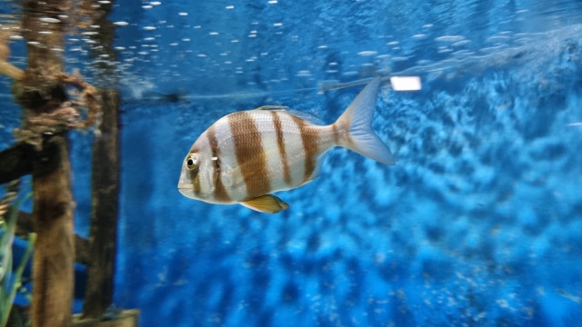 ../images/fotoalbum/lanzarote23/2023-09-18 10.17.46